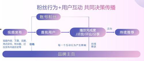 西安短视频营销,打造古城新名片