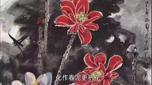 己亥杂诗朗读视频,穿越时空的诗意之旅