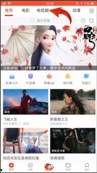 悦看视频,探索视觉盛宴的无限魅力