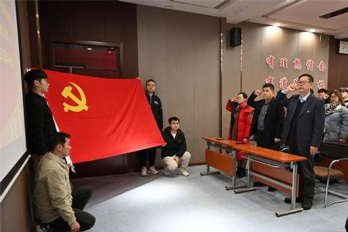 入党宣誓仪式视频,庄严承诺,砥砺前行