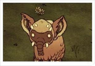 饥荒大象视频,自然界的残酷考验