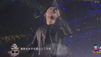 高进演唱会视频,激情旋律与粉丝共鸣瞬间