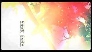 白世熙视频,揭秘人生智慧与成功之道