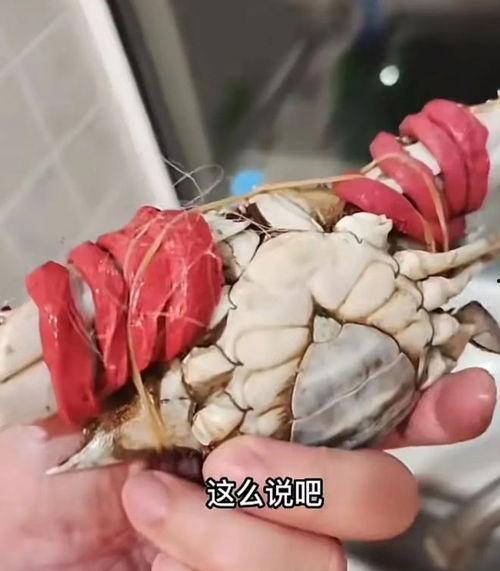 螃蟹怎么绑视频,轻松掌握绑蟹技巧