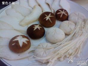 炭菇视频,探索美食与生活的独特魅力