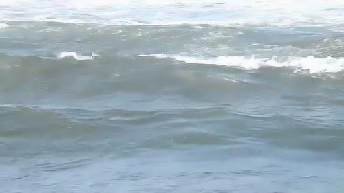 海浪声视频