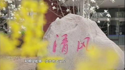 清风视频,揭秘生活百态,展现时代风采