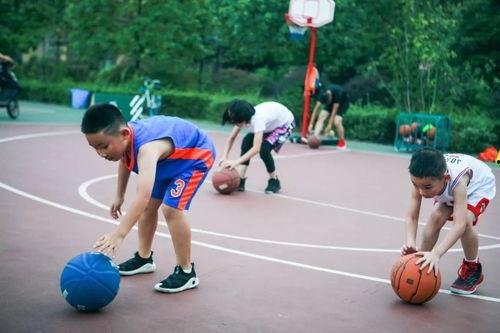 小孩篮球训练视频,从视频中看成长与进步