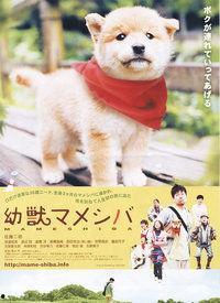 胶衣小犬视频,萌宠奇遇记