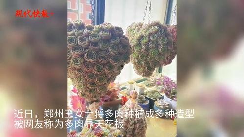 日肉肉视频,揭秘美食背后的故事与魅力