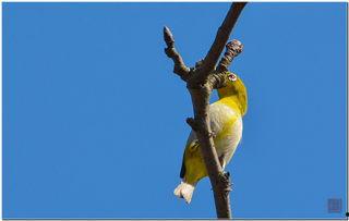 捕秀眼视频,揭秘短视频的魅力与传播之道