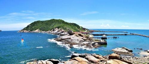 放鸡岛视频,揭秘海岛风情与自然奇观